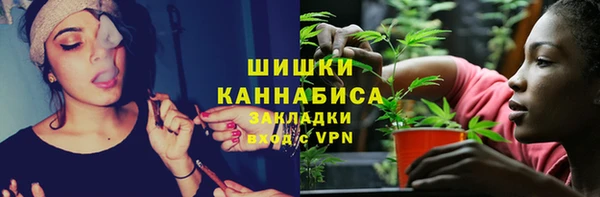 амф Арсеньев