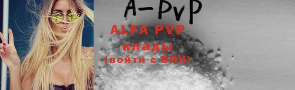 индика Балахна