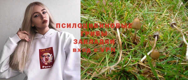 не бодяженный Аркадак
