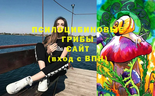 амф Арсеньев